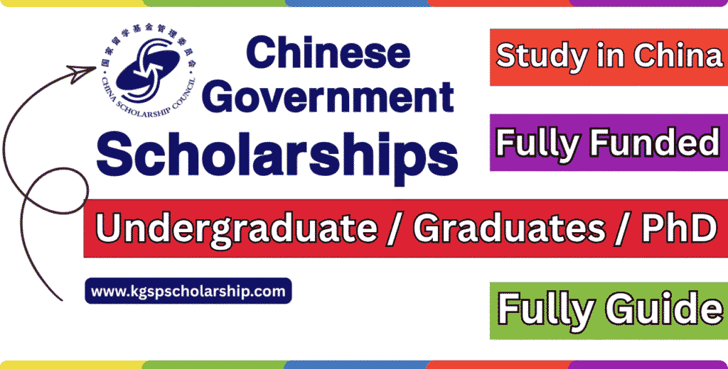 Chinese Government Scholarship