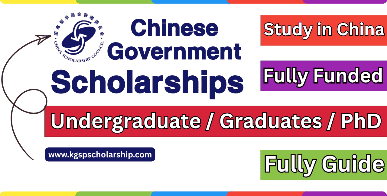 Chinese Government Scholarship