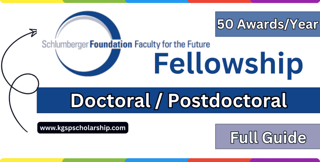 Schlumberger Foundation Faculty for the Future Fellowship