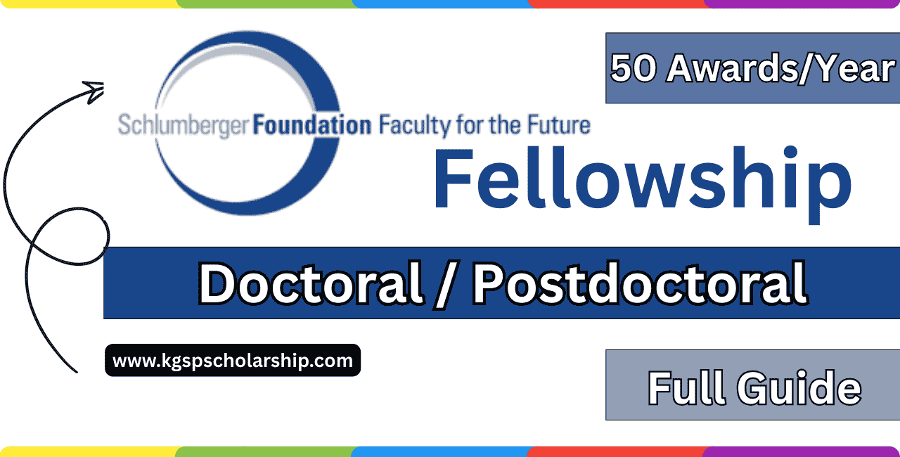 Schlumberger Foundation Faculty for the Future Fellowship